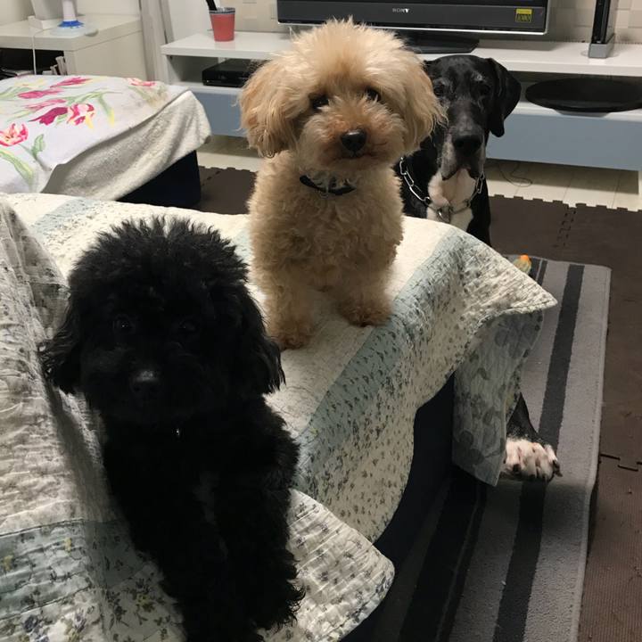 B63bfa49 0a17 4ea6 9cb6 844086693afa 1537395804052