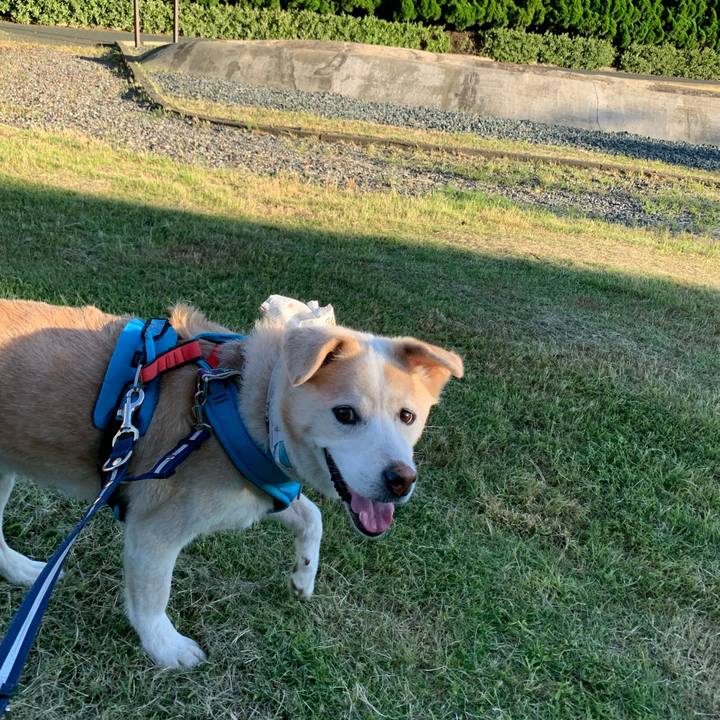 B63c65ab 6710 4353 b2d5 c1fad6a7799f 1658619188627