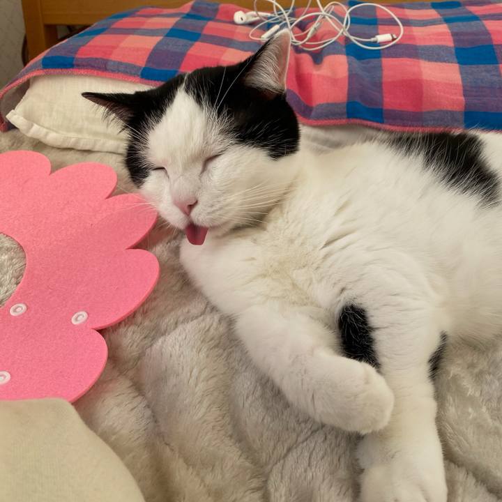 B63c738a 9119 4977 912e be52236e0d97 1764461492854