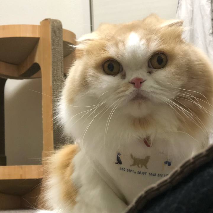 B63c9257 2703 4284 b690 1a4e128244f2 1665058394036