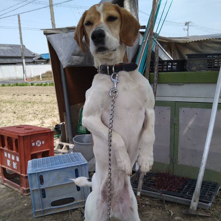 B63c9348 f0bb 4380 828b 22fbd0482807 1649307934354