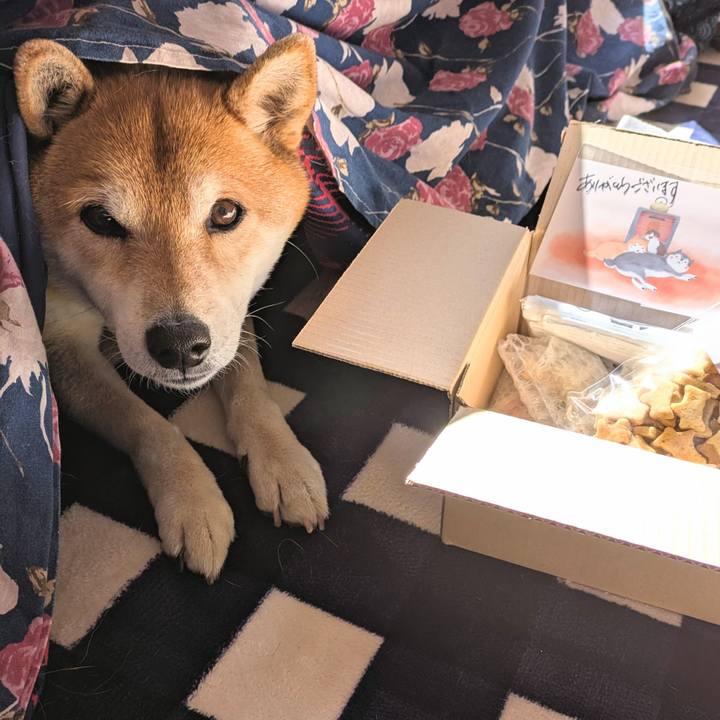 B63c98c8 bdac 4e52 8289 2fc6cd579f3f 1740370047263