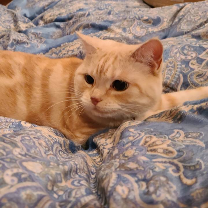 B63c9c88 ff93 40b1 b4ac 69a360449c0f 1605480481780