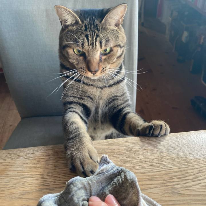 B63cbb19 dc78 446c a306 d0427125b8c1 1697880184134