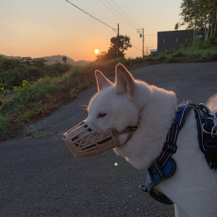 B63ccefb a57b 4d28 989d 65fca834e919 1628800457596