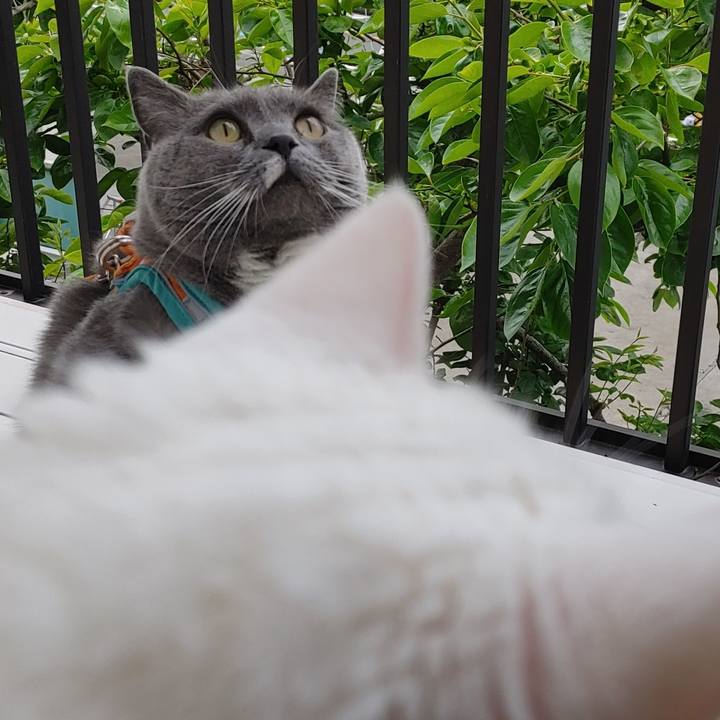 B63cf8f3 eb05 448f bfbd 66bb15130988 1652571652551