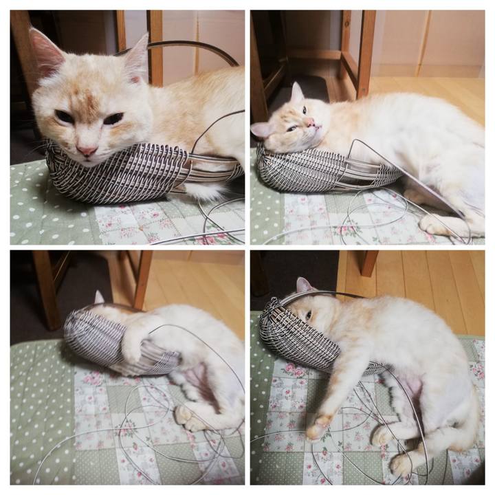 B63cfc98 890d 4dcb 986d a3d0c1a8b99e 1688164656489