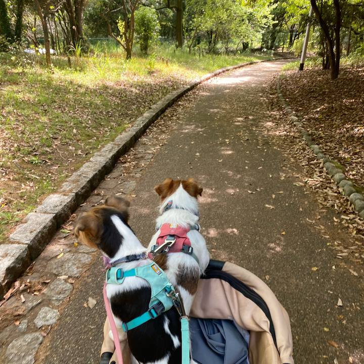 B63d2f1e f4d6 41e3 9368 552749eb5fb0 1746432287804