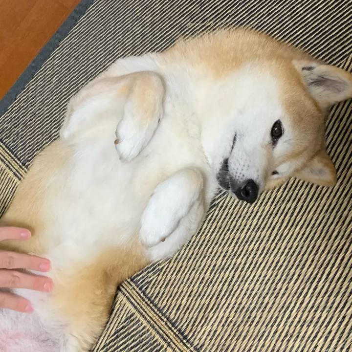 B63dd93a 4c24 4dc5 afe0 4c874cd6434f 1679708335407