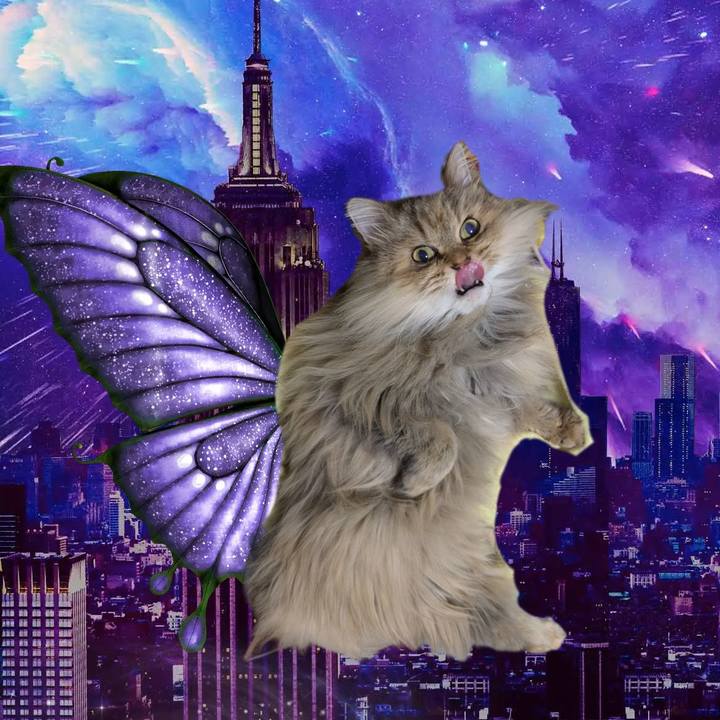 B63de379 2eae 45c3 86f0 21762edb7723 1738330082437