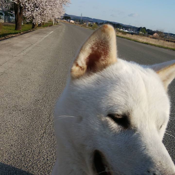 B63df5c2 8d24 42d0 a812 8f5560ccfb90 1522898609835