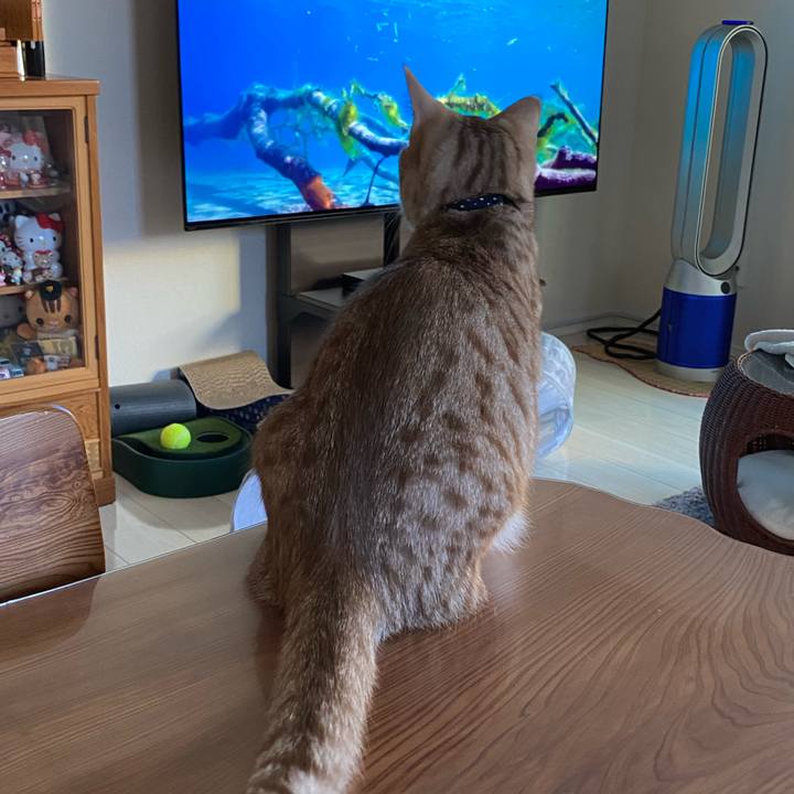 B63dfd1f 42a8 48be 840c 920558ce6c6a 1638053663702