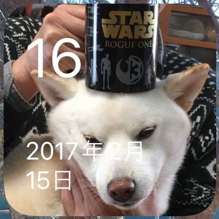 B63e2ace 0ab9 4546 8627 56a9d700740c 1708047943281