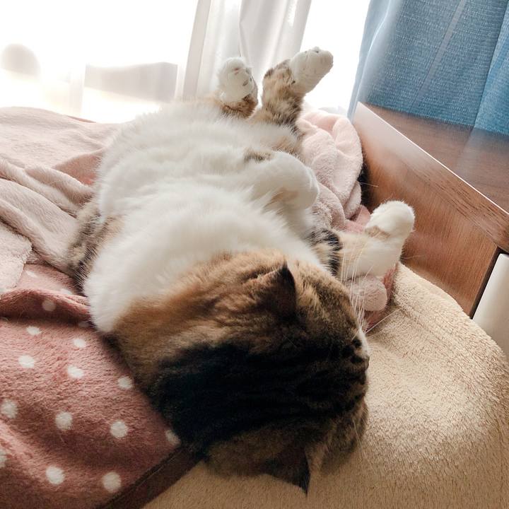 B63e2d91 ca99 48f9 8f58 dd6cb7209724 1572066194242