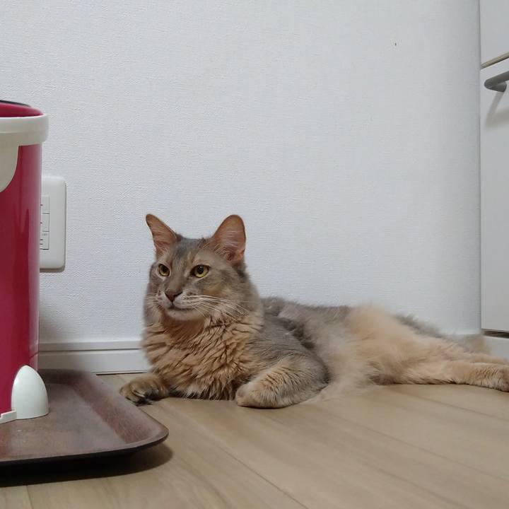 B63e336f e656 40d8 931b 7c763826aab8 1626181965718