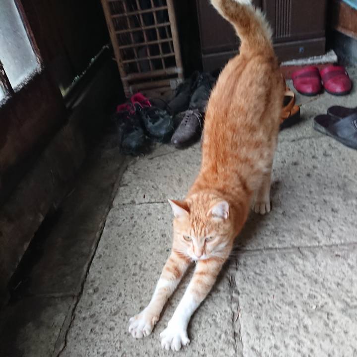 B63e4da5 f7a9 46ef 937e 9665fe4d45c7 1593593626894