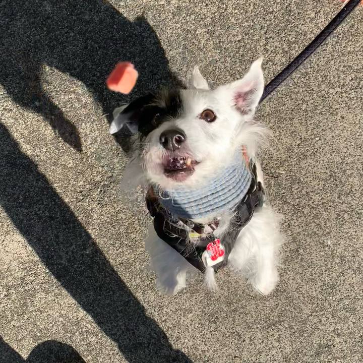 B63e5b2b fa7d 4848 b2fe a882a0da7c99 1705451638780