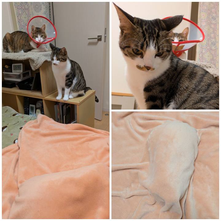 B63e8349 b803 4d55 bf81 86c58f374955 1775219037483