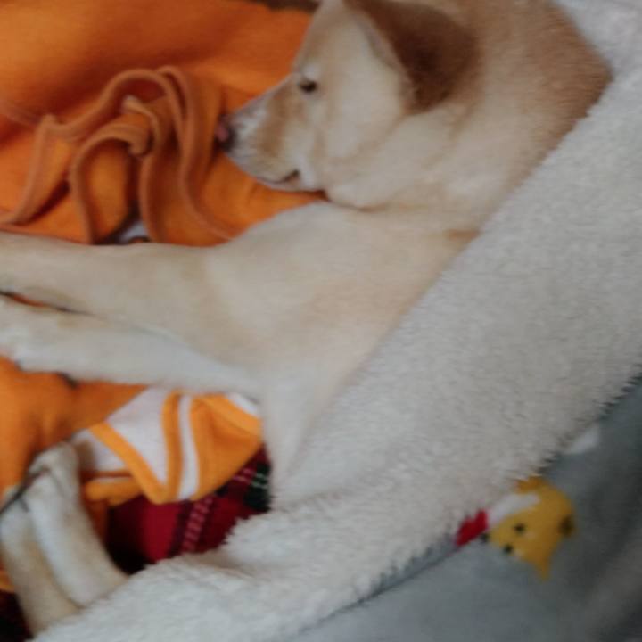 B63e9020 c58f 4132 b7e6 0c92b5e39fec 1515845778685