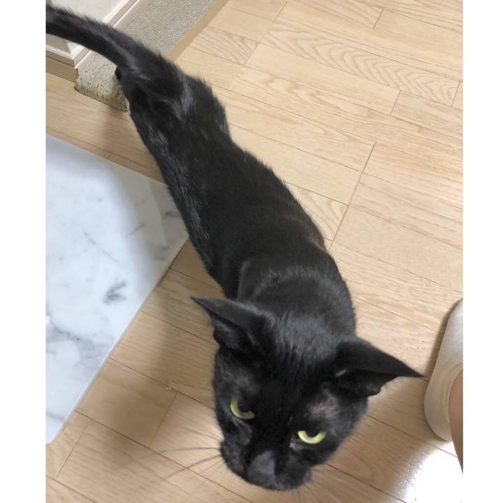 B63e9bf6 b928 47d9 a4f3 5cf63a0c1d0f 1598863691390