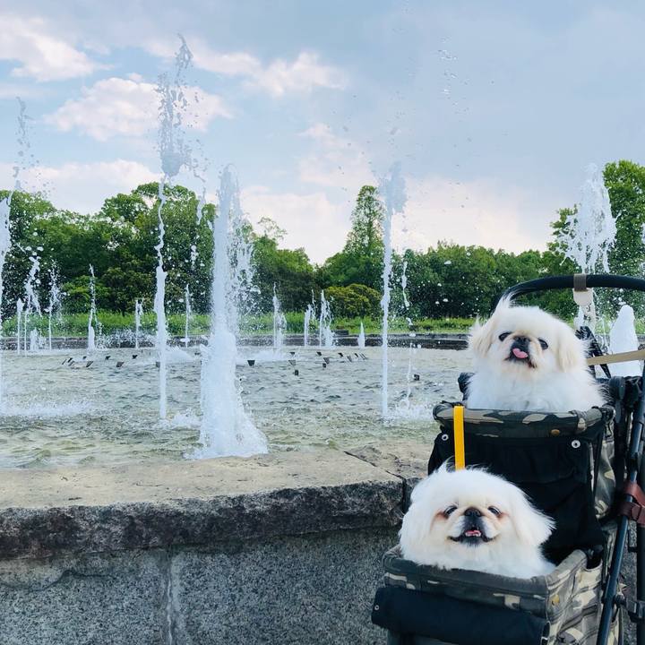 B63ec10c 38f7 49cc bb81 c4c63f918799 1624684555748