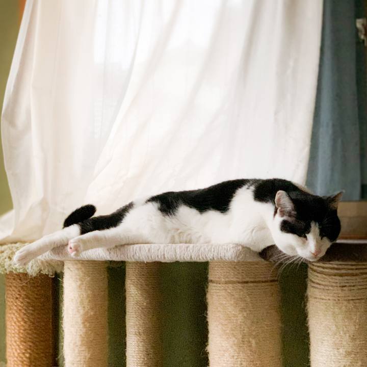 B63ec77f 21bc 43eb a95a 927c6ae00df7 1587607179841