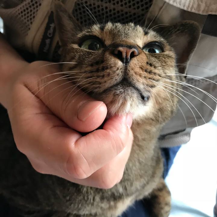 B63eddf7 98d6 4e39 a853 a1546df58685 1531014838066