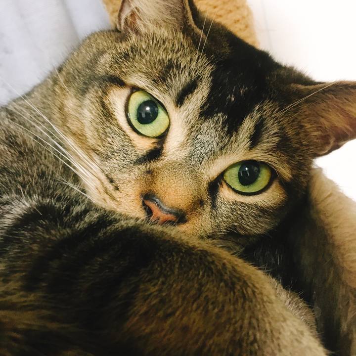 B63ef155 c80c 49c6 8768 3d8c13e473a7 1546247586648