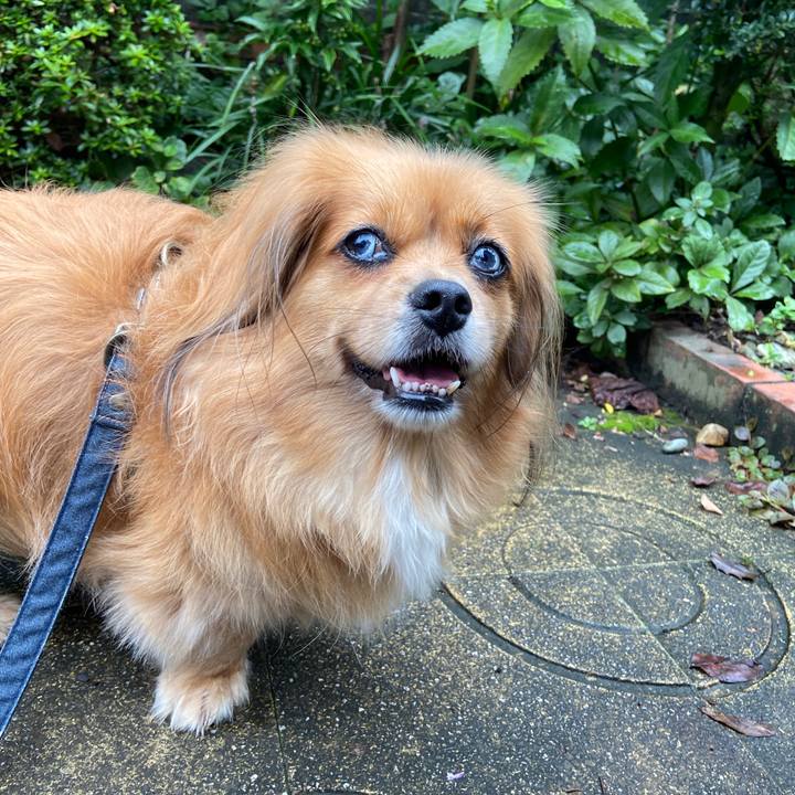 B63ef29a 8481 4d30 aa1a 2aba58c737a6 1632093389438