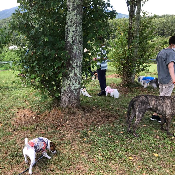 B63f0826 997b 4cdc bdd1 1005ec6db53a 1598937176945