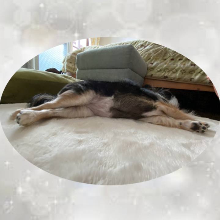 B63f2fdc 8969 47d7 96e1 a6e451f84cfb 1657366223978