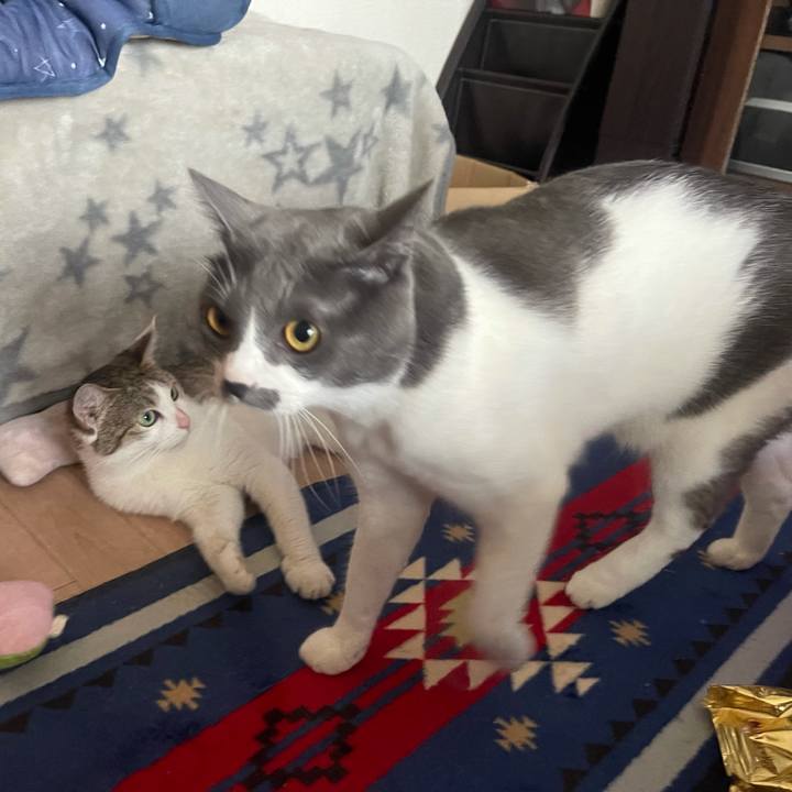 B63f3066 ff5e 46e3 82f8 722f1b4a3452 1629789256070