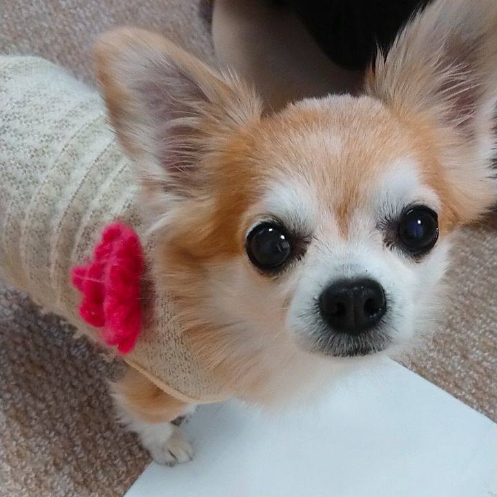 B63f67ca 8441 47fb b92b d1345884c048 1512048194387