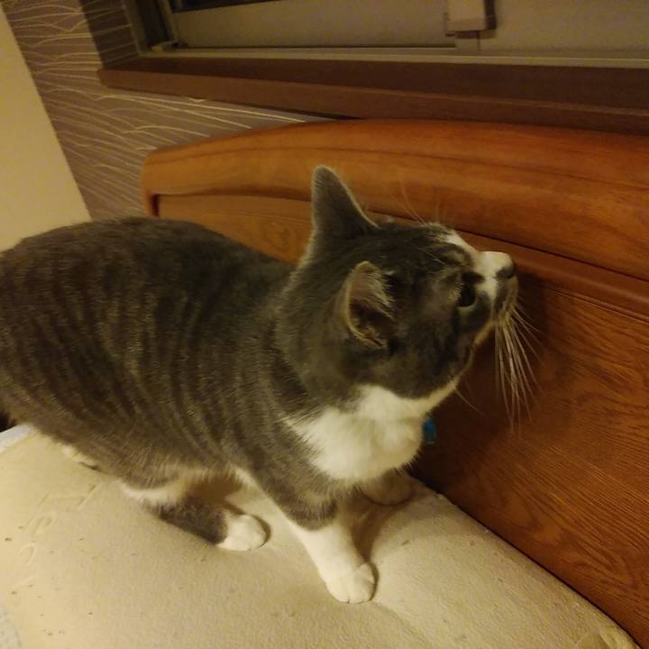 B63f6c07 f23a 4f47 8ea7 3bfda070a330 1578320859054