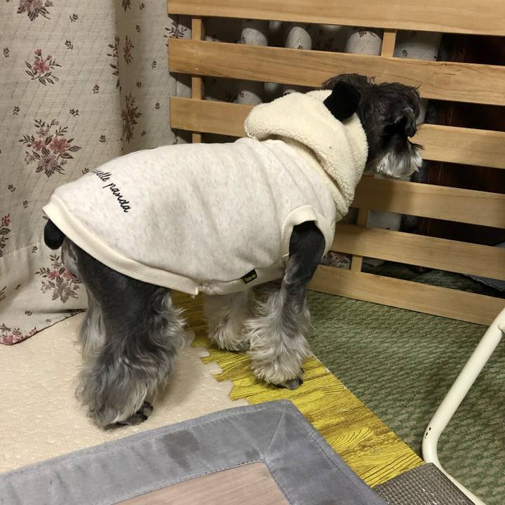 B63f7a71 0713 450c ae72 1ec06370eaaa 1646920110184