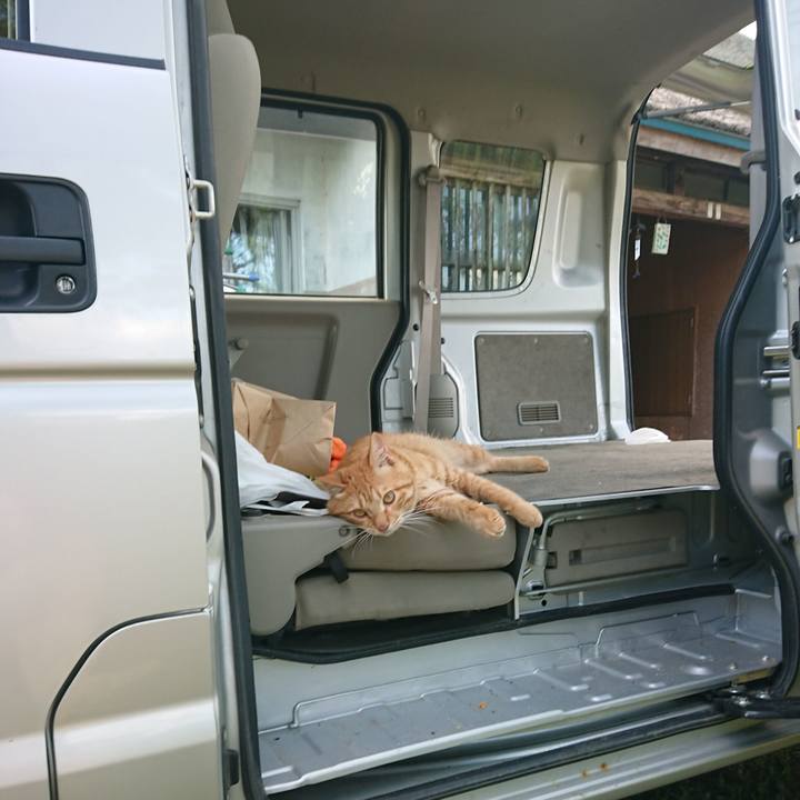 B63f7bf3 0f33 4bfb 9534 fd90ec1cfa93 1657360363900