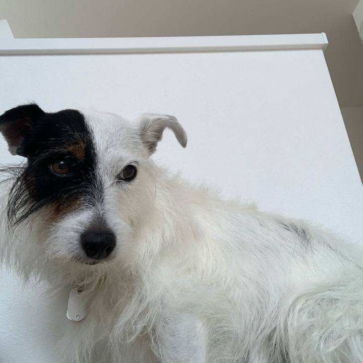 B63f866e 1434 4b41 bfc6 c4901195fecc 1593047857543