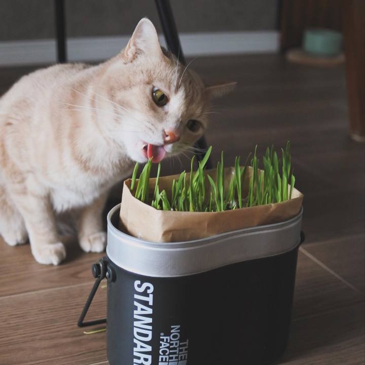 B63fa0c6 153b 46bc 995c 09bf1f65d527 1712121951428