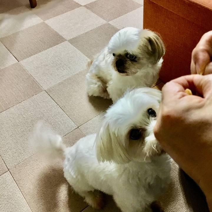 B63fe374 c20d 4d5d bd6e 2c0ffb3a1408 1625916512790