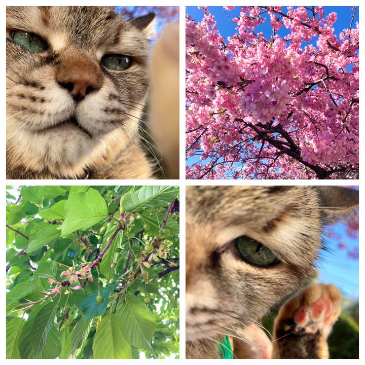 B63ffbb3 a892 408f af56 f17fd469aeda 1616379852079