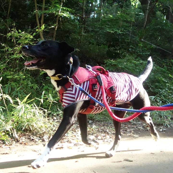 B640065c 1780 43b7 9884 968c97160d5d 1599780257875