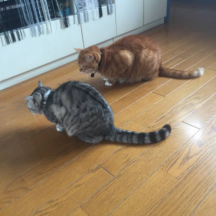 B64090ae 848c 4979 b482 ef759f8a545c 1556593472106