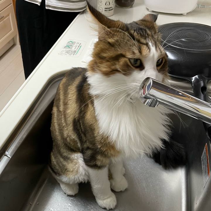 B6409676 5acb 4bcd a7af 469aed5dfca6 1661119090353