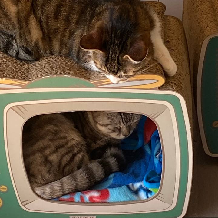 B640c2b3 34e5 4b8e a8c5 d153c576b55b 1644200920087