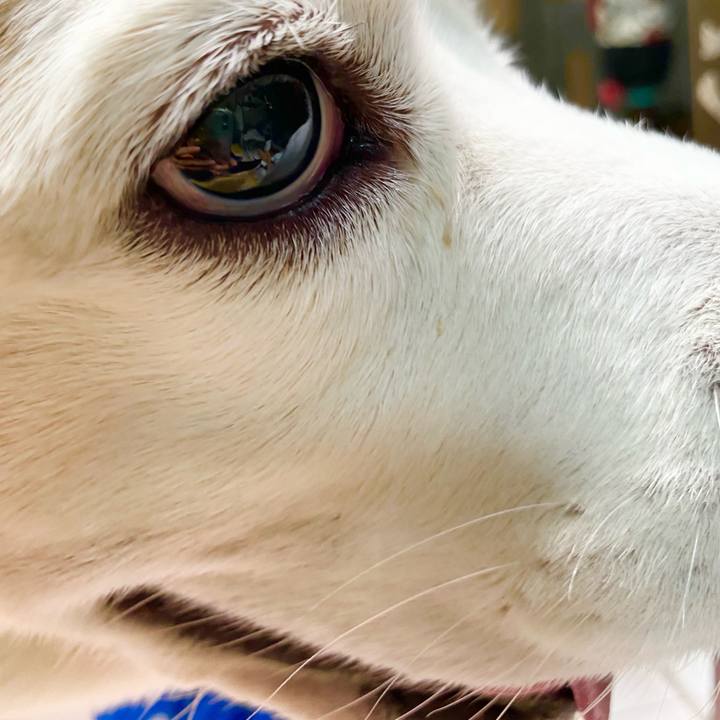 B640e3dc 0684 47ab ad23 a070c08f067f 1658980971117