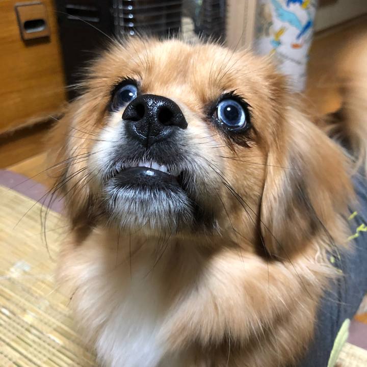 B640e50d 8865 4e33 9a55 a43bb1afa1dd 1515370681381