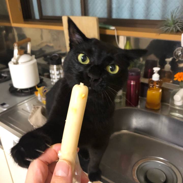 B64117a7 c613 41f4 9510 fe654938a29c 1596371967285