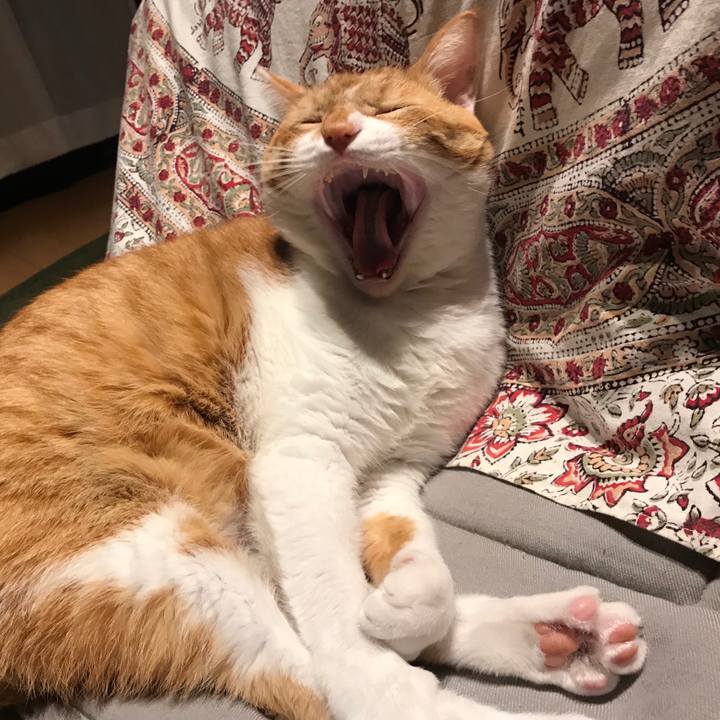 B64121aa b2be 400c 9ef4 850da4ffe8bf 1546645148943