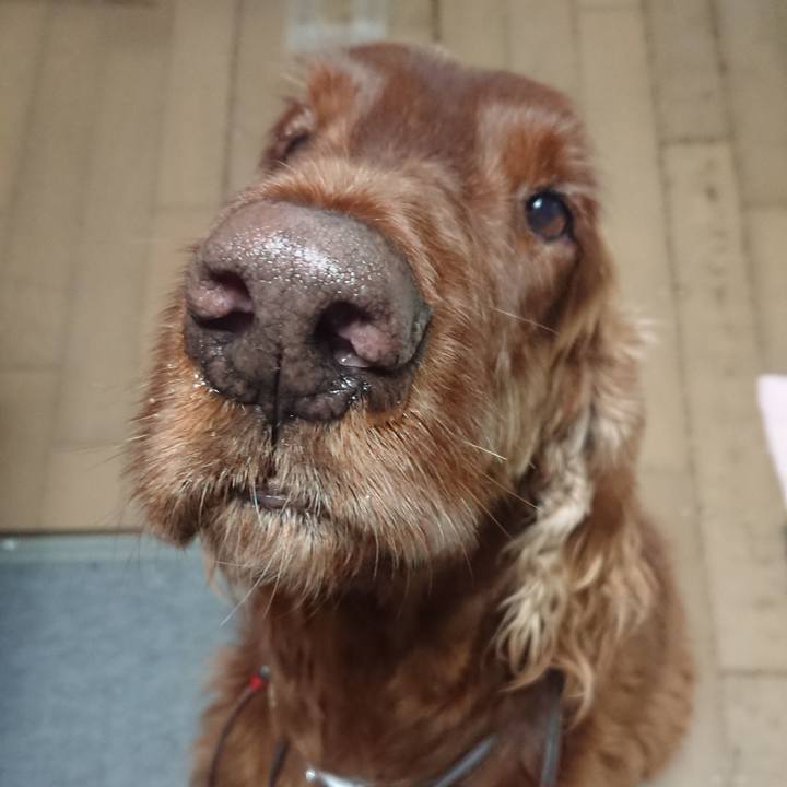 B6413406 7dc5 41d8 a82d d7aeefd7a73b 1515240441920