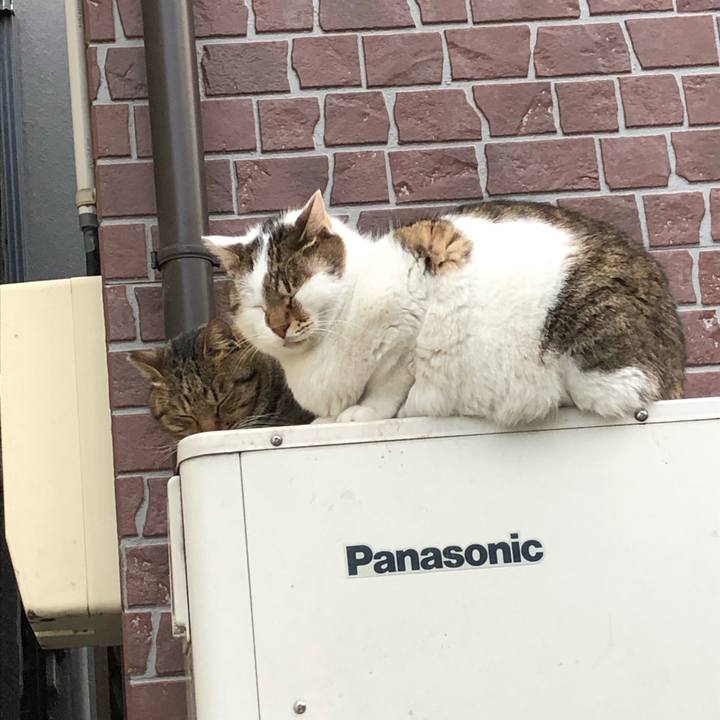 B64144b1 76df 4bd8 b1b2 35b6ec903a7e 1544461179220